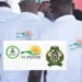 Npower News