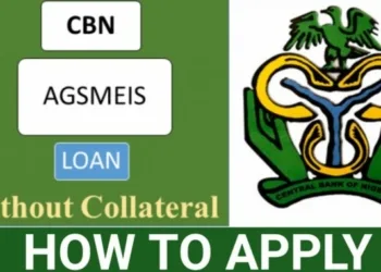 AGSMEIS Loan