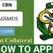 AGSMEIS Loan
