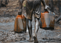 Crude Oil
