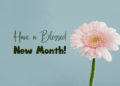 Happy new month of May messages