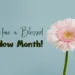 Happy new month of May messages