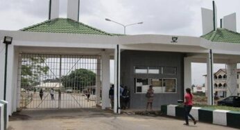 Apply For Ongoing Imo Poly Recruitment 2022 Job Vacancy Now