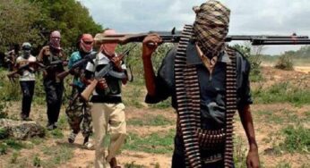 ISWAP, Boko-Haram Plan To Attack Schools in Katsina, Zamfara, Kaduna, Kogi, Lagos- NSCDC