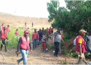 17,647 Offenders Arrested, 2,369 Jailed, 154,667.339kg Drugs Seized - NDLEA