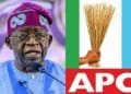 Bola Tinubu