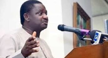 Security Updates: I See Hope – Femi Adesina