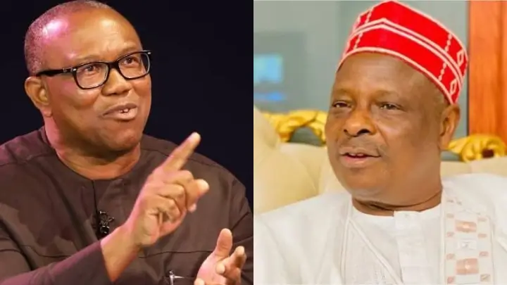 2023: Why Our Merger With Peter Obi Cannot Work- Kwankwaso