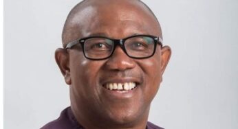 2023: Group Mobilizes Funds, Support For Peter Obi in Europe, America