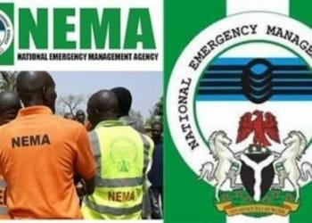 NEMA Recruitment 2022