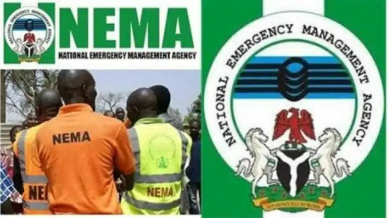 NEMA Recruitment 2022