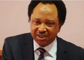 Kaduna-Abuja Train Attack: Senator Sani To Join Protests On Insecurity