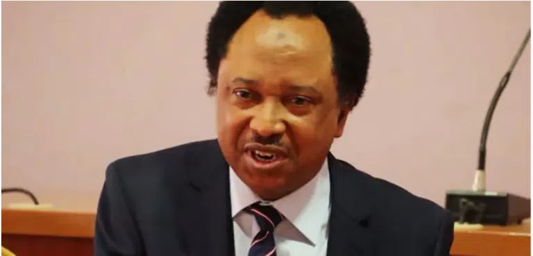 Kaduna-Abuja Train Attack: Senator Sani To Join Protests On Insecurity