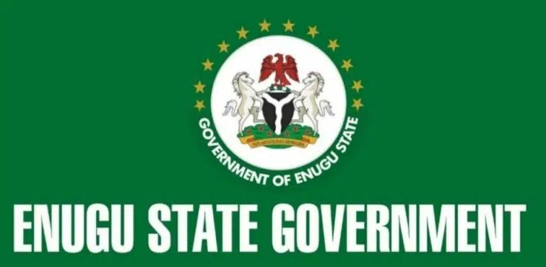 Enugu State Scholarship Board 2022 Mentorship Programme