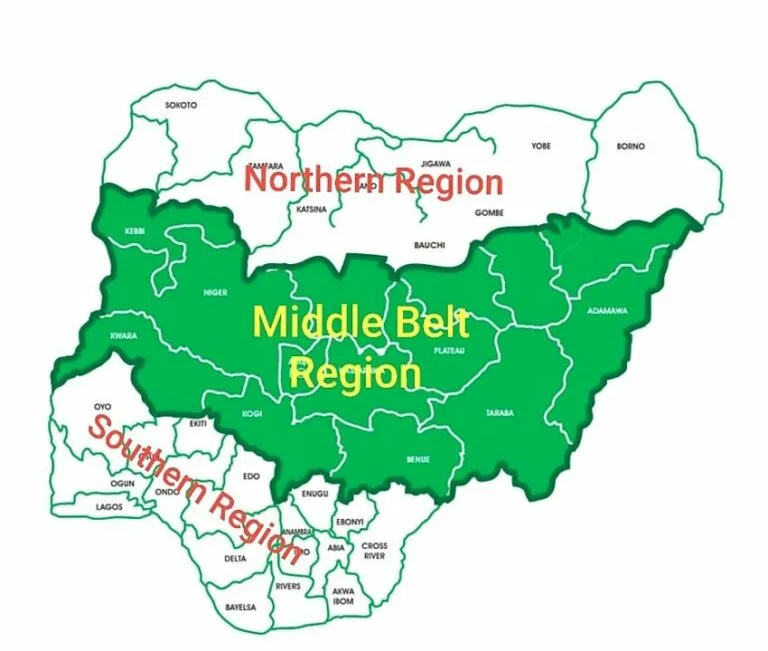 Tinubu-Shettima: Count Our Votes Out - Middle Belt Forum