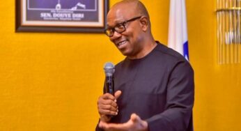 Peter Obi Spent Heavily In Climate Management In Anambra- Fmr. Environ Commissioner