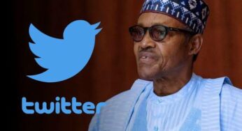 Without Mincing Words, Twitter Begged Us To Lift Ban- Lai