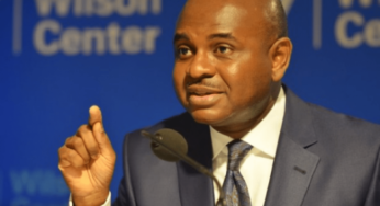 Economy: Anything Else But Restructuring, Living In Denial – Prof Moghalu