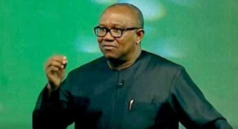 Peter Obi Mourns Labour Party Women Leader, Chintex, Killed In Kaduna