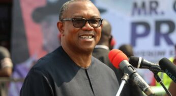 Nigerians In Diaspora Pledge $150m, N100bn For Peter Obi By Crowdfunding