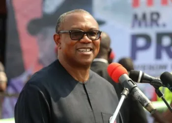You Will Buy Rice N80,000; Fuel N1,500 If You Vote Wrongly In 2023-Ayodele