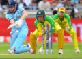 Cricket
