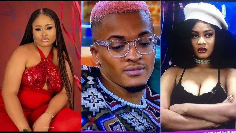 BBNNaija 7: Many Left In Awe With Amaka’s Reaction To Groovy And Phyna Kissing