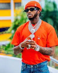 Tanzanian Super Star Diamond Platnumz Buys Personal Helicopter