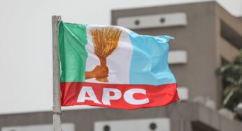 Full list of APC Presidential Campaign Council