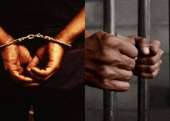 Lagos Traditional Ruler Jailed 15 Years