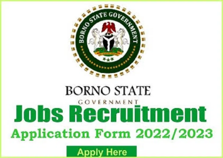 Borno State Government Recruitment