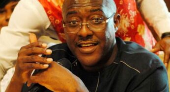 PDP Crisis: Wike, Makinde, Bode George On A Misplaced Mission- Metuh