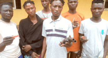 Prince Sends His Cult Members To Kill His King-Father In Ogun- Police