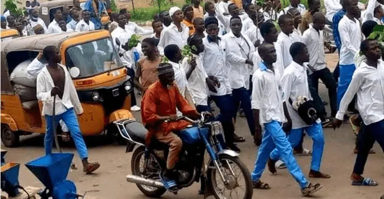 Immorality In Class: Bauchi Students Protest Separation of Girls From Boys