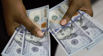 BREAKING: Dollar To Naira Exchange Rate Falls Massively On Independence Day