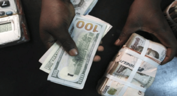 Naira Crashes To All Time Record Low Against Dollar, See New Exchange Rate