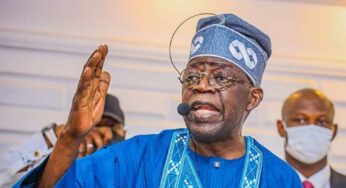 2023: Bola Tinubu Attacks Afenifere Leader For Endorsing Peter Obi