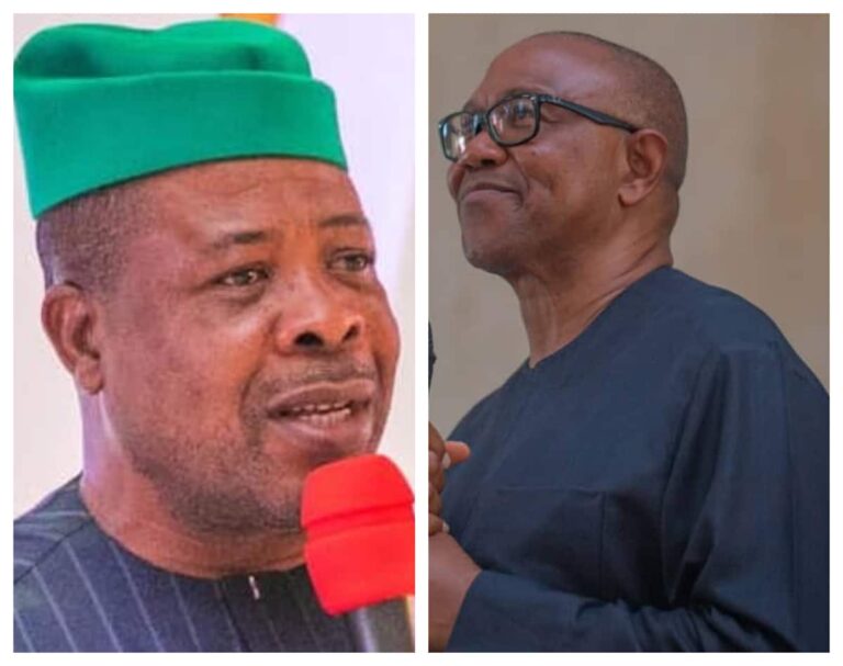 I'm Sorry, I Don't Mean Peter Obi Supporters, It's APC Supporters- Ihedioha