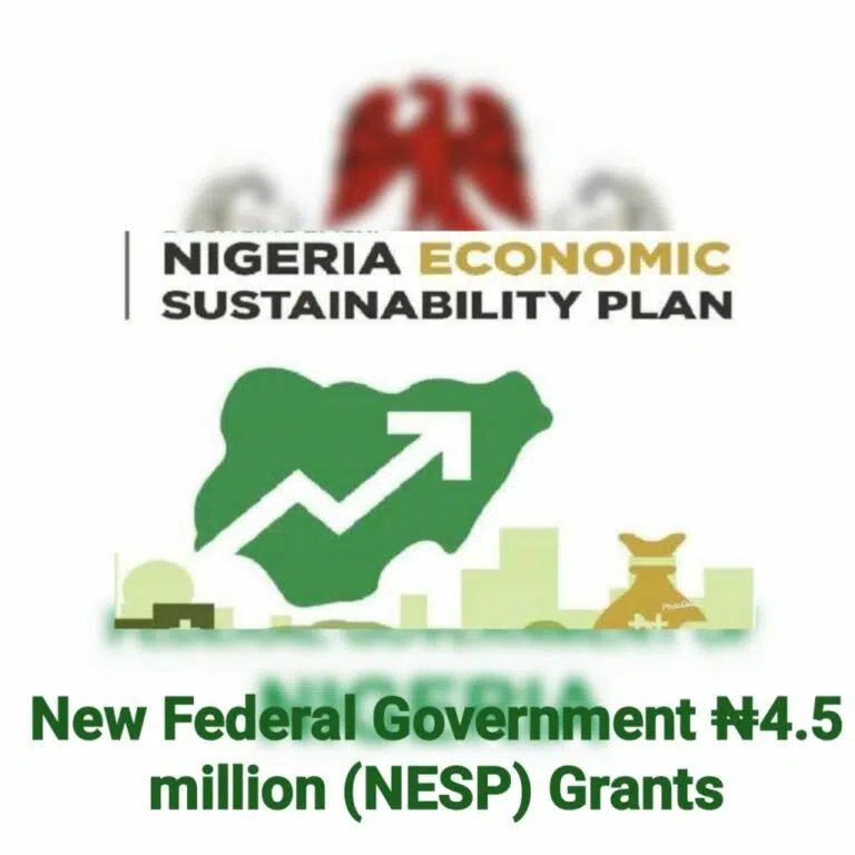 NESP Grants