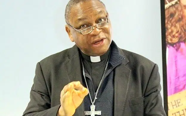 2023 Election: Why Catholic Church Will Not Vote Muslim-Muslim Ticket- Cardinal Onaiyekan