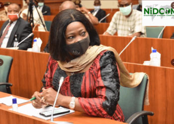 Nigeria's Crime Rate In UAE Highest- NiDCOM Chair, Abike Dabiri-Erewa