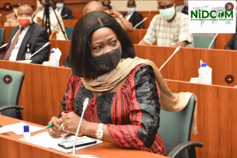 Nigeria's Crime Rate In UAE Highest- NiDCOM Chair, Abike Dabiri-Erewa