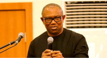 2023: Peter Obi Sudden Ascent Represents Rare Chance For Nigeria – UK Report