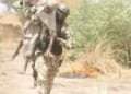 Breaking: Army Secures Release Of Remaining Abuja-Kaduna Train Captives