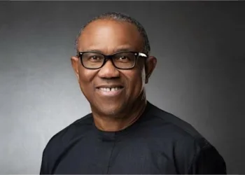 Special Adviser