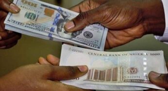 Demand Pressure Pushes Naira To N751 Per Dollar At Parallel Market