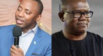 Honorary Citizenship: Labour Party Reacts, Sowore Mocks Peter Obi