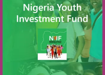 Nigerian Youth Investment Fund