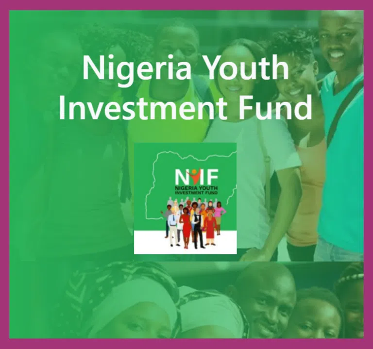 Nigerian Youth Investment Fund