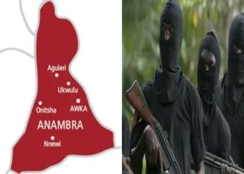 Anambra Police Checkpoint Along Ihiala-Uli Axis
